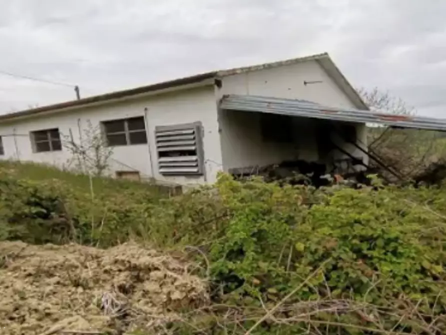 Immagine 2 di Magazzino in vendita  in Via Indaco a Ortezzano