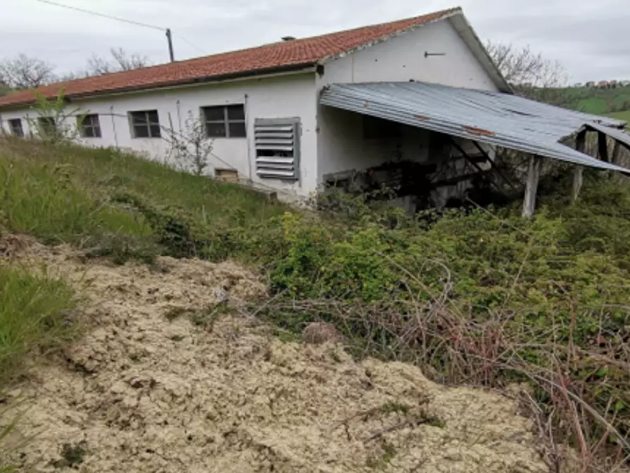 Immagine 3 di Magazzino in vendita  in Via Indaco a Ortezzano