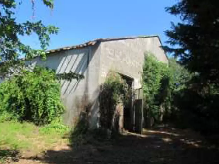 Immagine 4 di Villa in vendita  in Via Gabbianella a Quistello