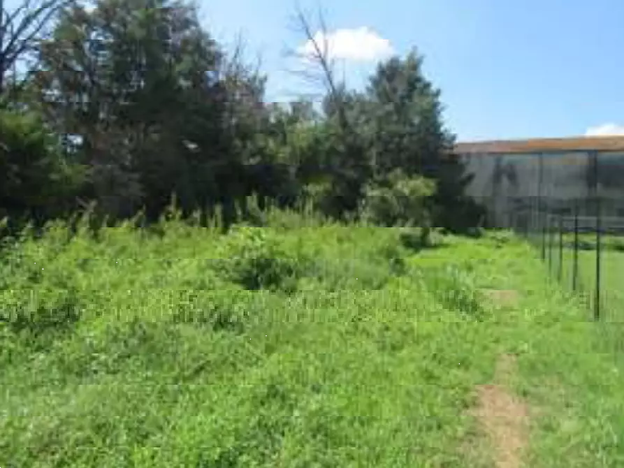 Immagine 6 di Villa in vendita  in Via Gabbianella a Quistello