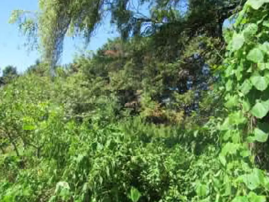 Immagine 7 di Villa in vendita  in Via Gabbianella a Quistello