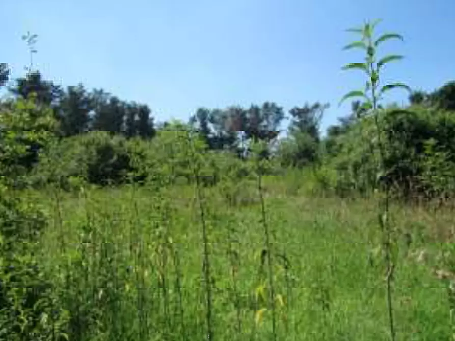 Immagine 9 di Villa in vendita  in Via Gabbianella a Quistello