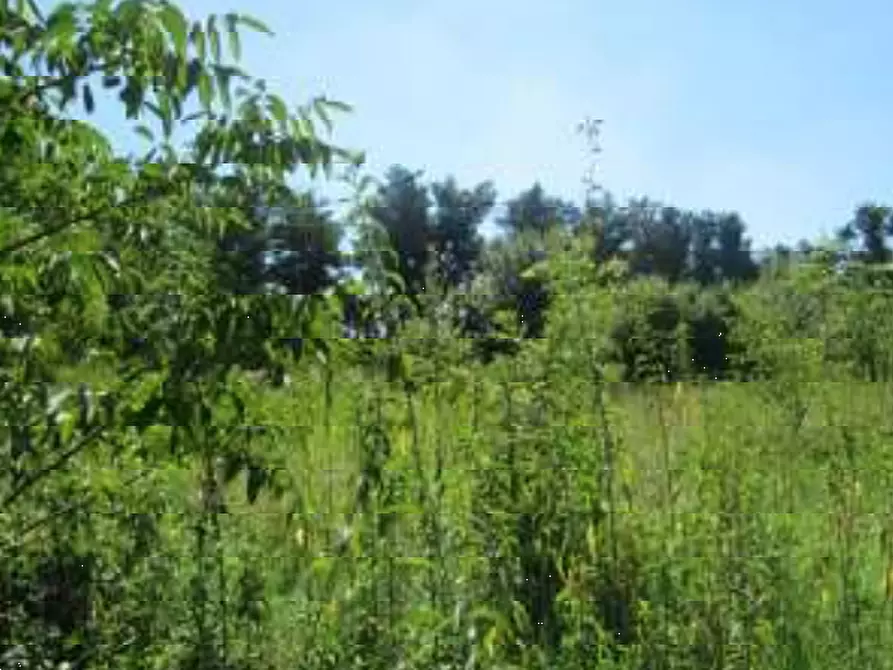 Immagine 10 di Villa in vendita  in Via Gabbianella a Quistello