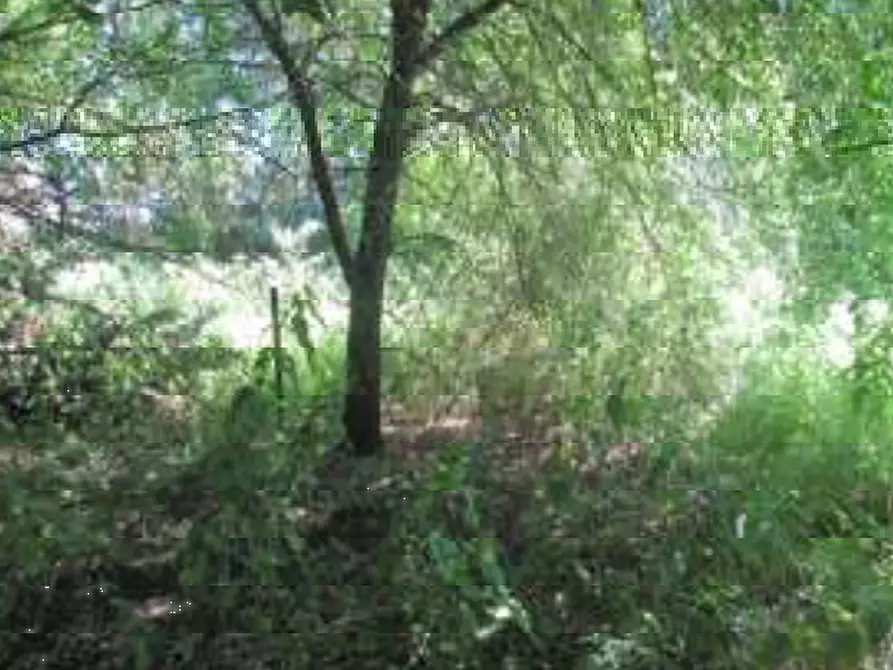 Immagine 12 di Villa in vendita  in Via Gabbianella a Quistello