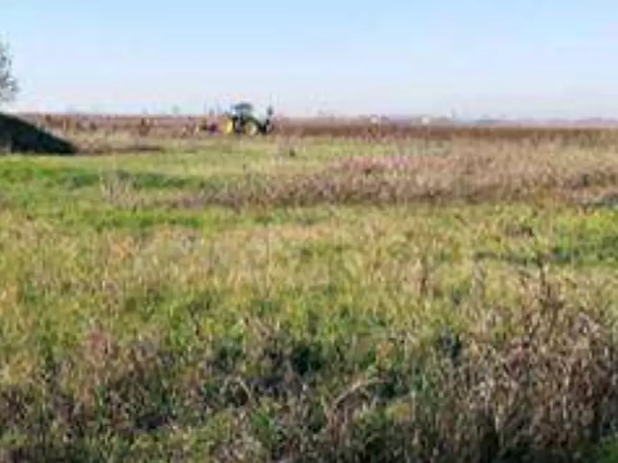 Immagine 1 di Terreno edificabile in vendita  in Via Valter Brunelli a Nogara