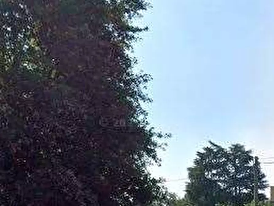 Immagine 8 di Appartamento in vendita  in Piazza San Pietro a Solaro