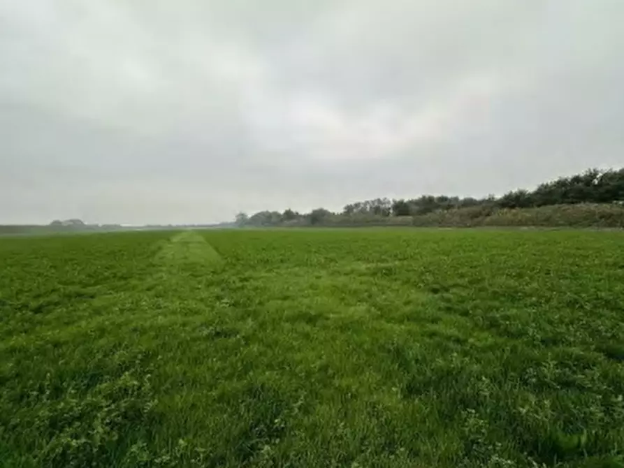 Immagine 18 di Rustico / casale in vendita  in Via Argine Secchia Sud a Quistello