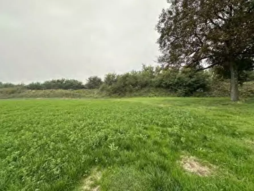 Immagine 20 di Rustico / casale in vendita  in Via Argine Secchia Sud a Quistello