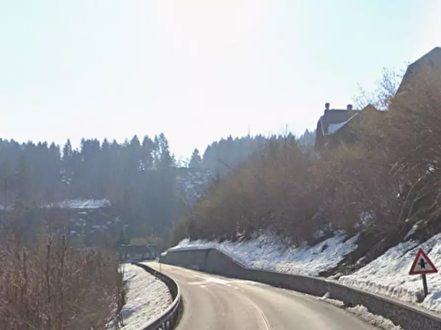 Immagine 7 di Terreno agricolo in vendita  in Via Luigi Cadorna a Tarvisio
