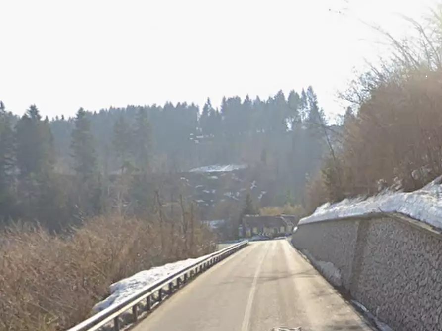Immagine 8 di Terreno agricolo in vendita  in Via Luigi Cadorna a Tarvisio