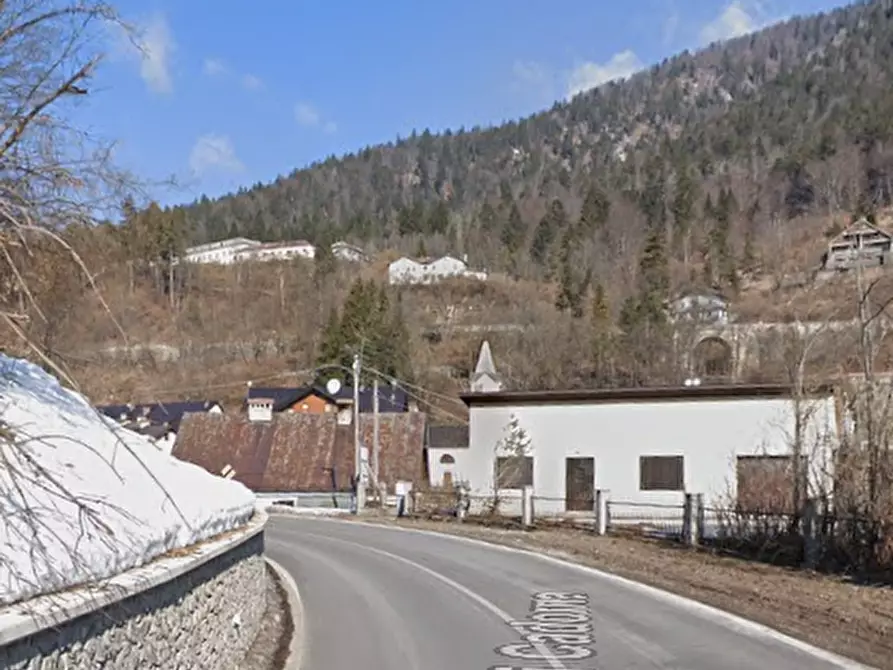 Immagine 9 di Terreno agricolo in vendita  in Via Luigi Cadorna a Tarvisio