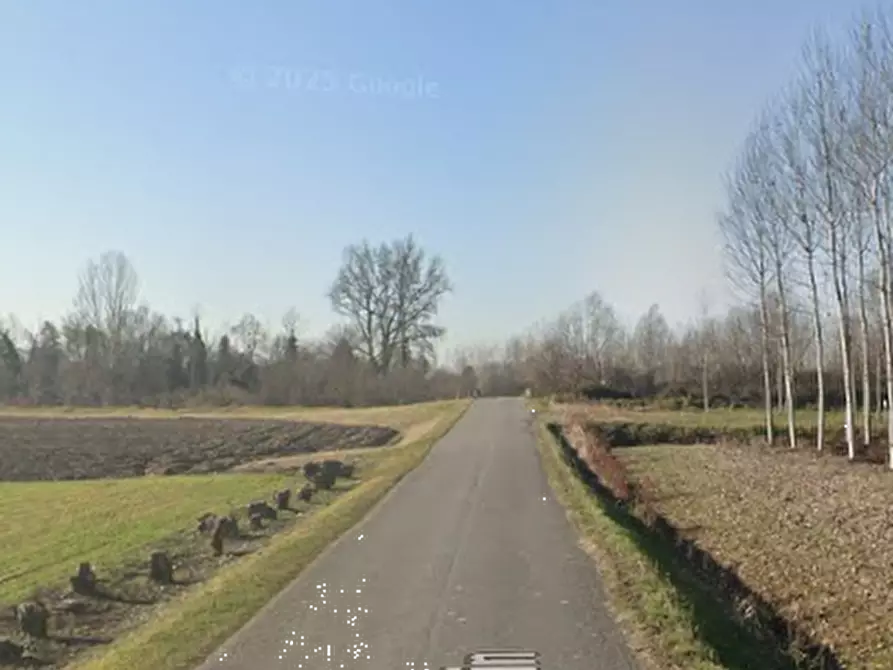 Immagine 2 di Terreno agricolo in vendita  in Via Strangulin a Varmo