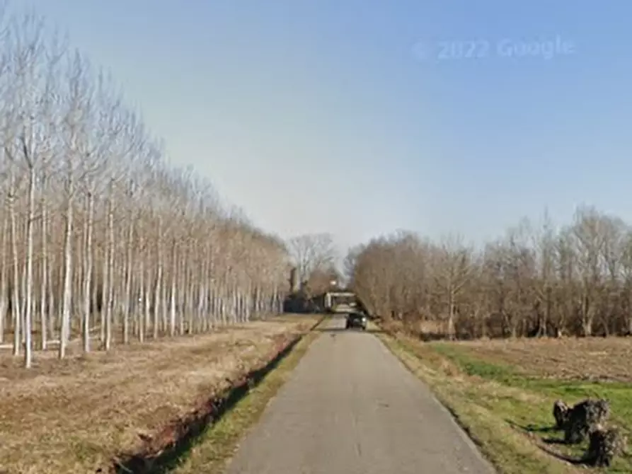 Immagine 4 di Terreno agricolo in vendita  in Via Strangulin a Varmo
