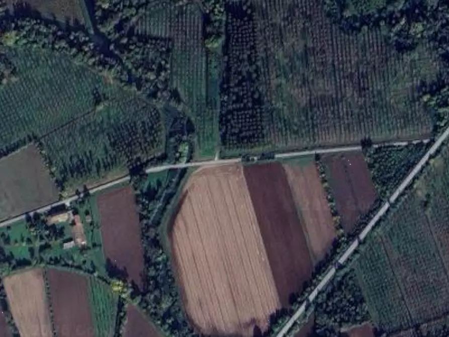 Immagine 7 di Terreno agricolo in vendita  in Via Strangulin a Varmo