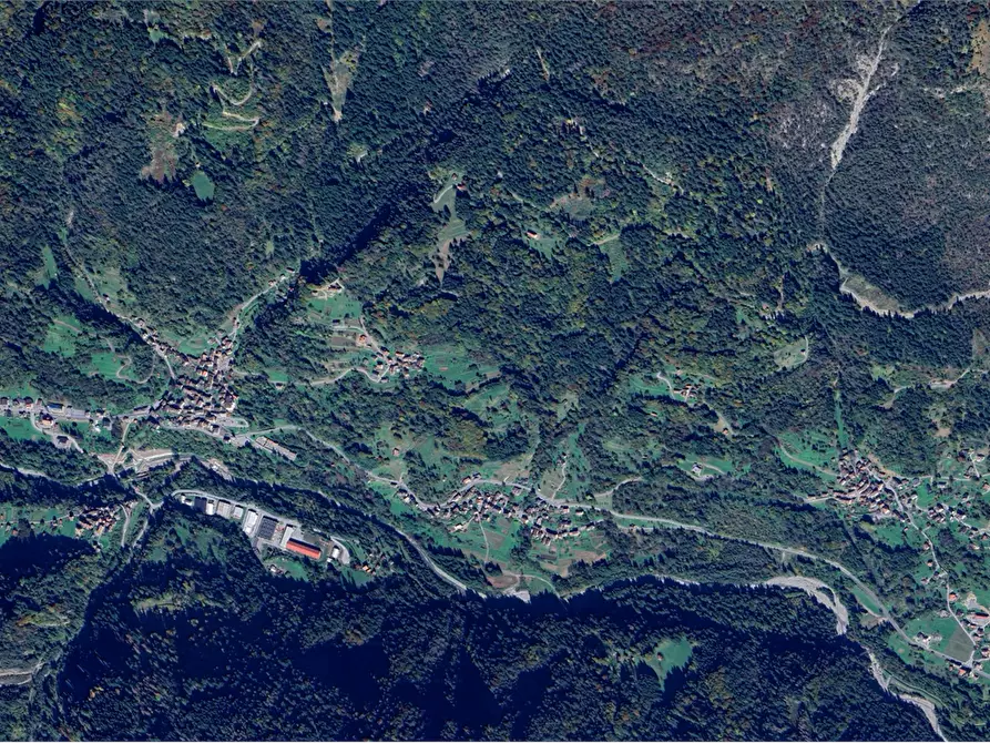 Immagine 2 di Terreno agricolo in vendita  in Frazione Prico a Prato Carnico