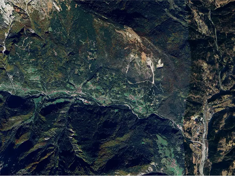 Immagine 3 di Terreno agricolo in vendita  in Frazione Prico a Prato Carnico