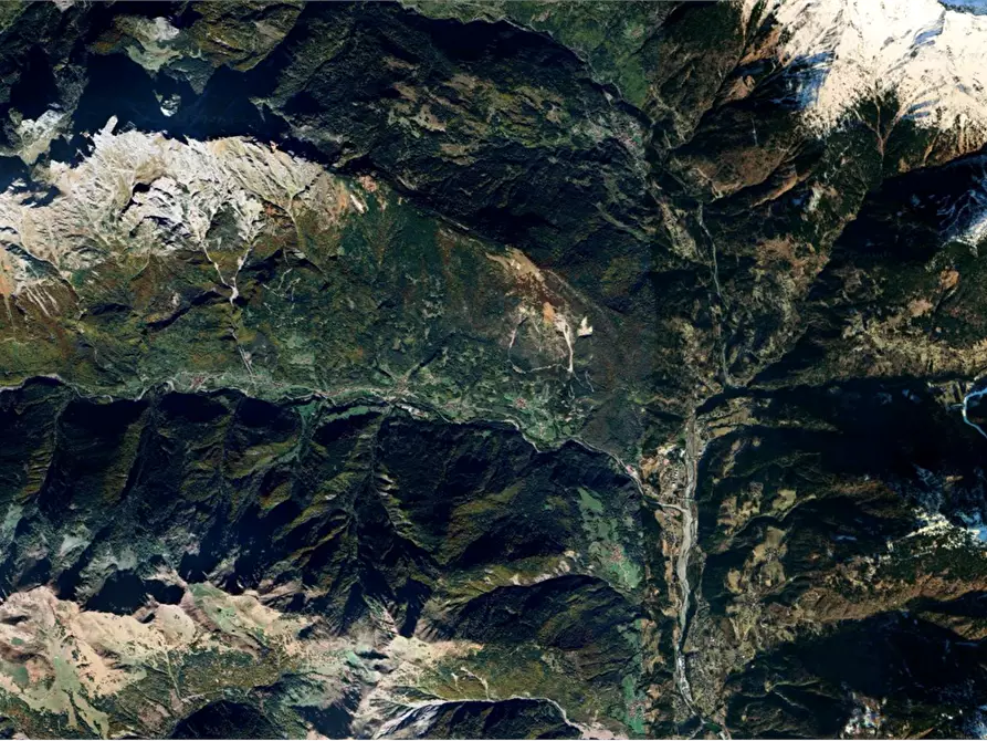 Immagine 4 di Terreno agricolo in vendita  in Frazione Prico a Prato Carnico