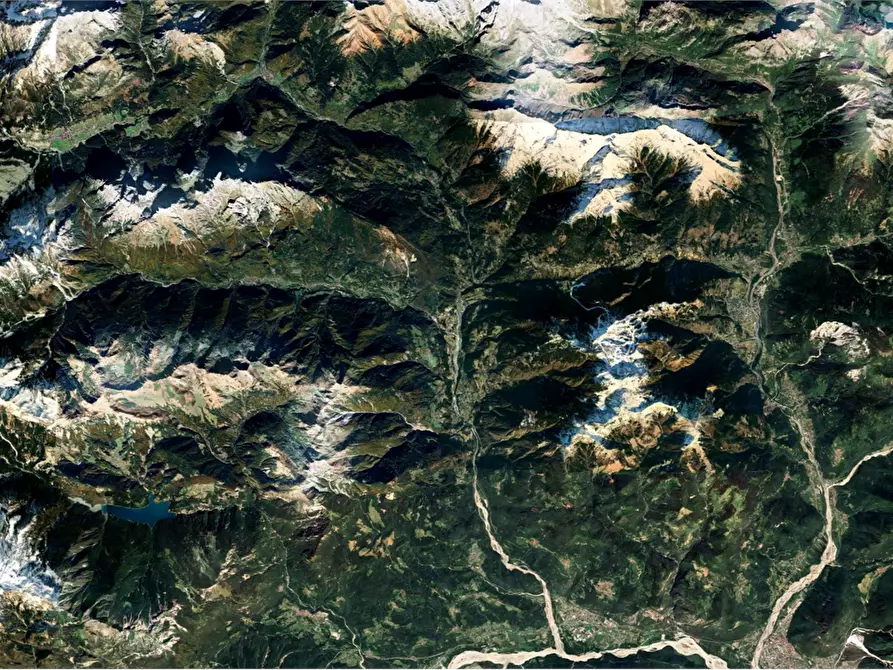 Immagine 5 di Terreno agricolo in vendita  in Frazione Prico a Prato Carnico