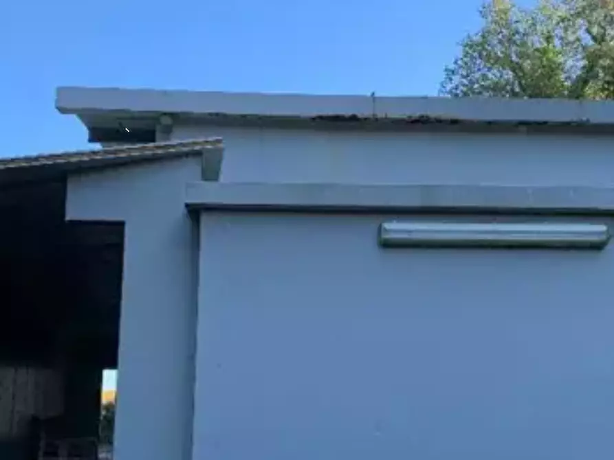 Immagine 4 di Laboratorio in vendita  in Via del Trocchio a Ortezzano