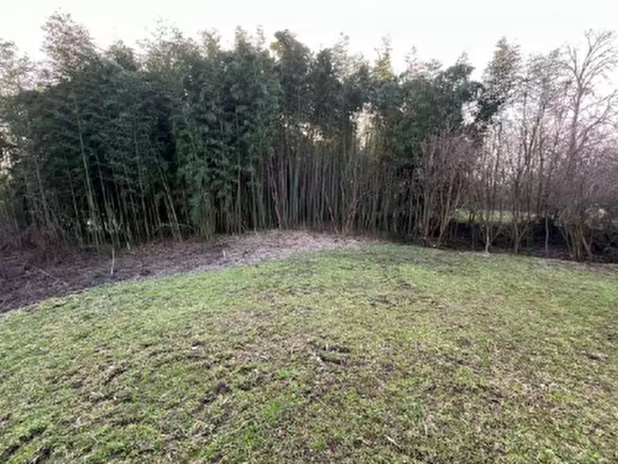 Immagine 11 di Appartamento in vendita  in Via Molinara a Bagnolo San Vito