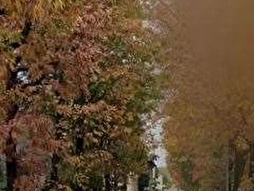 Immagine 7 di Garage in vendita  in Via Dante Alighieri a Brugherio