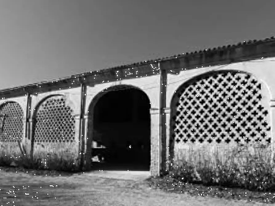 Immagine 4 di Rustico / casale in vendita  in Via Legnago a Palu'