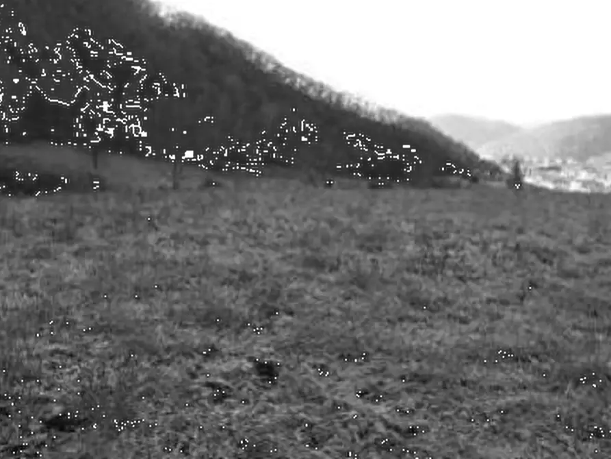 Immagine 2 di Terreno agricolo in vendita  in Contrada Vanti a Badia Calavena