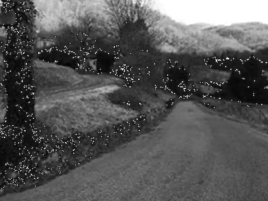 Immagine 3 di Terreno agricolo in vendita  in Contrada Vanti a Badia Calavena