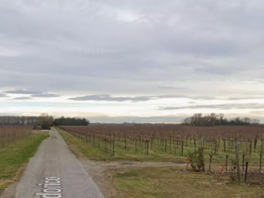 Immagine 9 di Terreno agricolo in vendita  in Via S. Odorico a San Giorgio Della Richinvelda