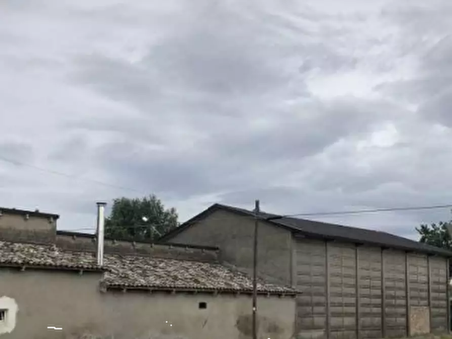 Immagine 6 di Stabile in vendita  in Via Taverna a Ravenna