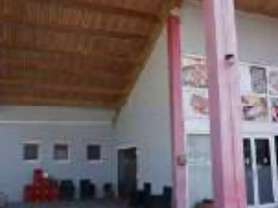 Immagine 19 di Negozio in vendita  in Via Francois Mitterrand  a Suzzara