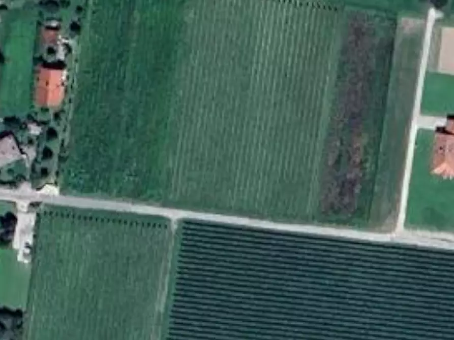 Immagine 7 di Terreno agricolo in vendita  in località Cosa a San Giorgio Della Richinvelda