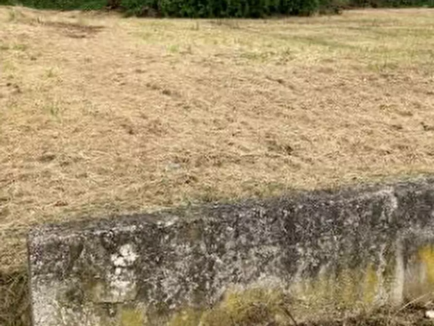 Immagine 5 di Terreno edificabile in vendita  in Via G. Ungaretti a Curtatone