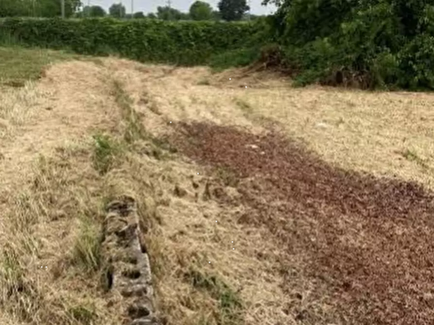 Immagine 9 di Terreno edificabile in vendita  in Via G. Ungaretti a Curtatone