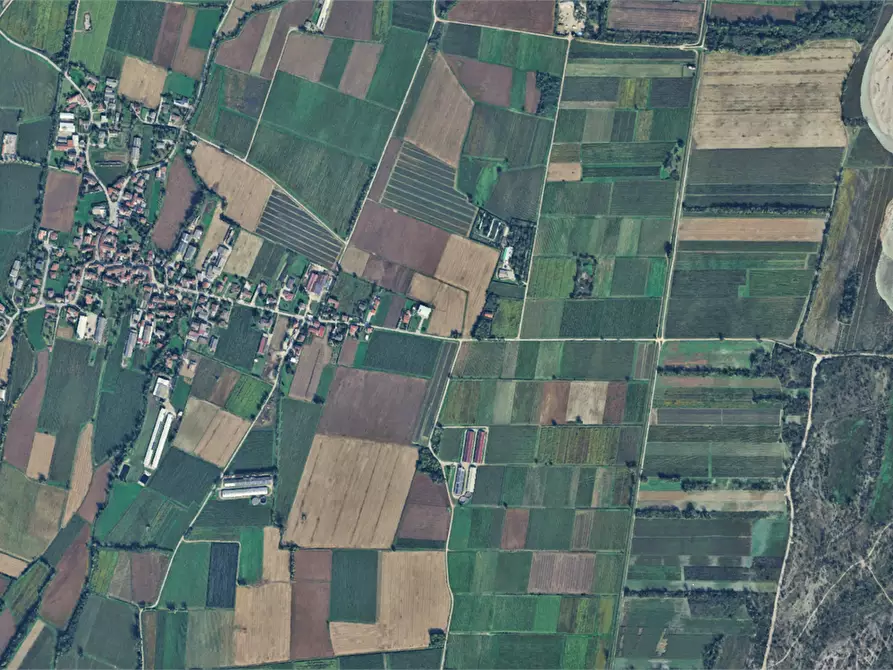 Immagine 2 di Terreno agricolo in vendita  in Località Aurava a San Giorgio Della Richinvelda