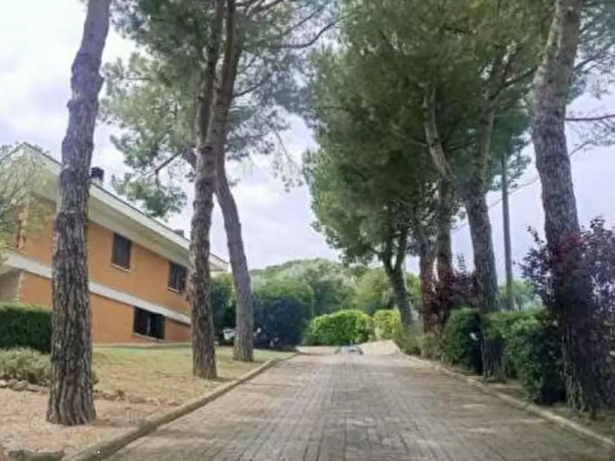 Immagine 6 di Appartamento in vendita  in Strada Montegranarese a Sant'elpidio A Mare