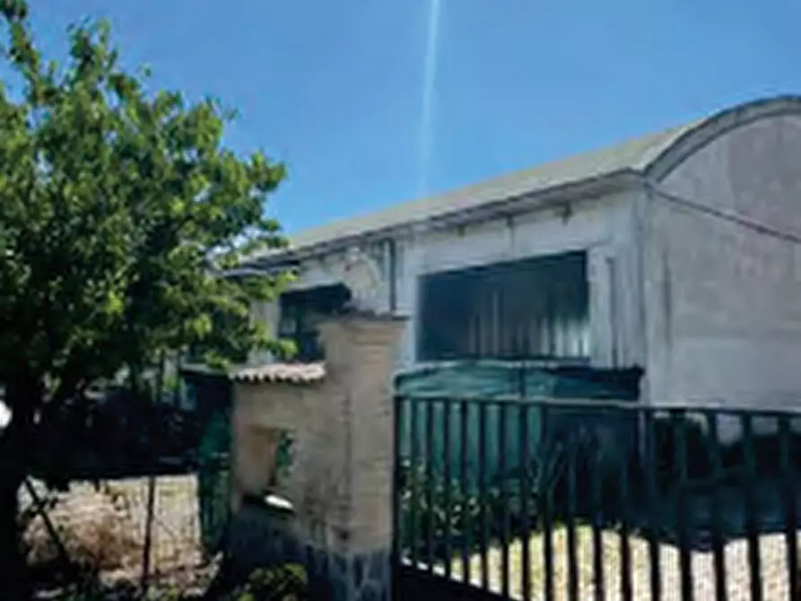 Immagine 6 di Capannone industriale in vendita  in Via Monte Rosa a Torrevecchia Pia