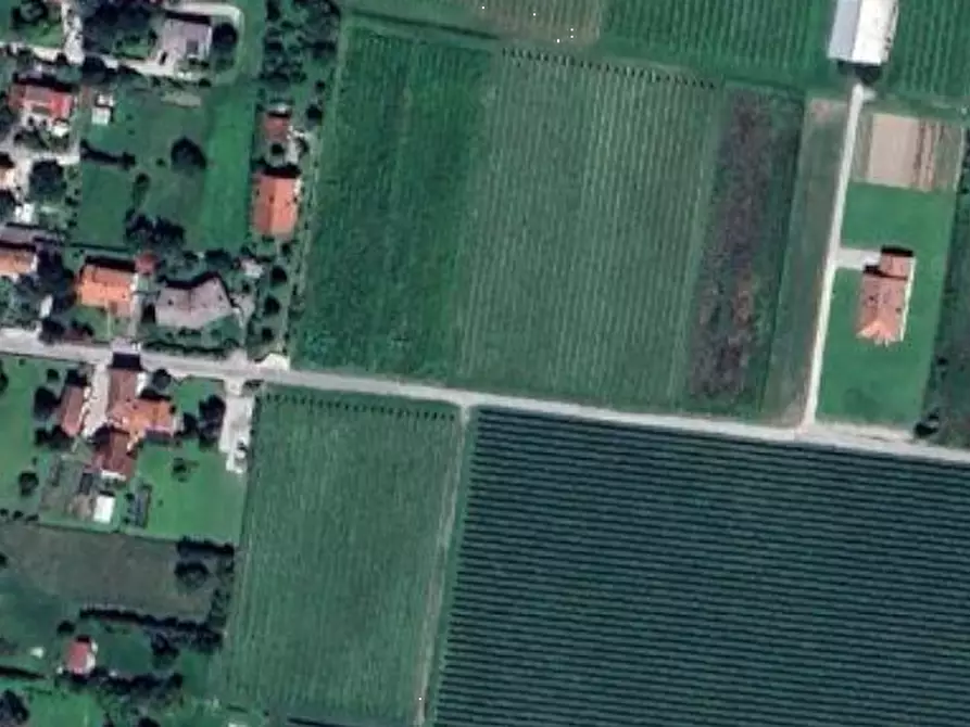 Immagine 9 di Terreno agricolo in vendita  in San Foca a San Quirino