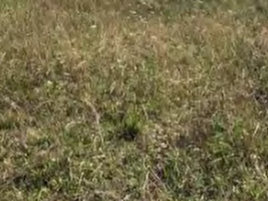 Immagine 8 di Terreno edificabile in vendita  in Via San Moro a Cividale Del Friuli