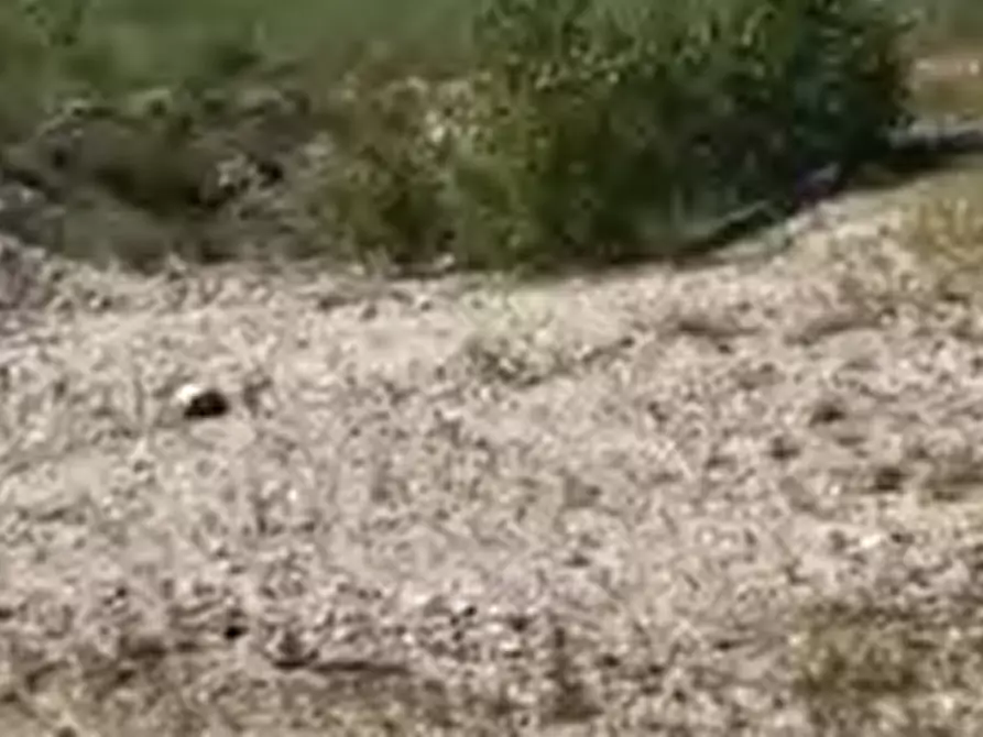 Immagine 10 di Terreno edificabile in vendita  in Via San Moro a Cividale Del Friuli