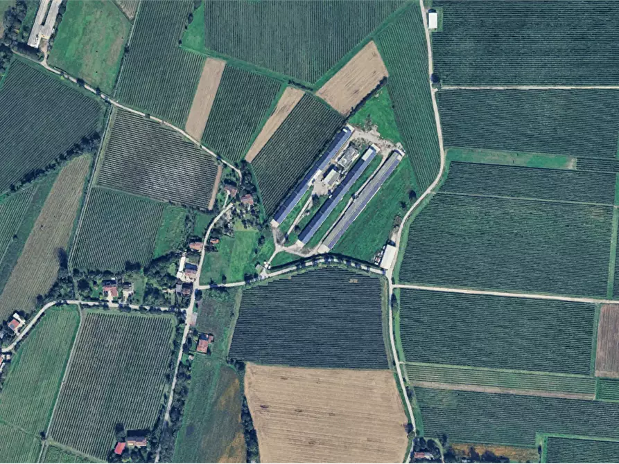 Immagine 1 di Terreno agricolo in vendita  in Località Sassonia a Valvasone Arzene