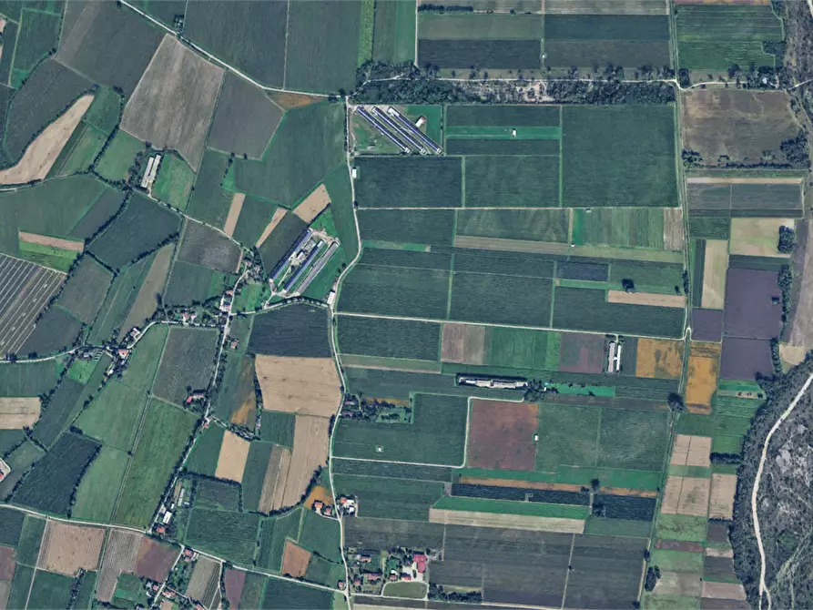 Immagine 2 di Terreno agricolo in vendita  in Località Sassonia a Valvasone Arzene