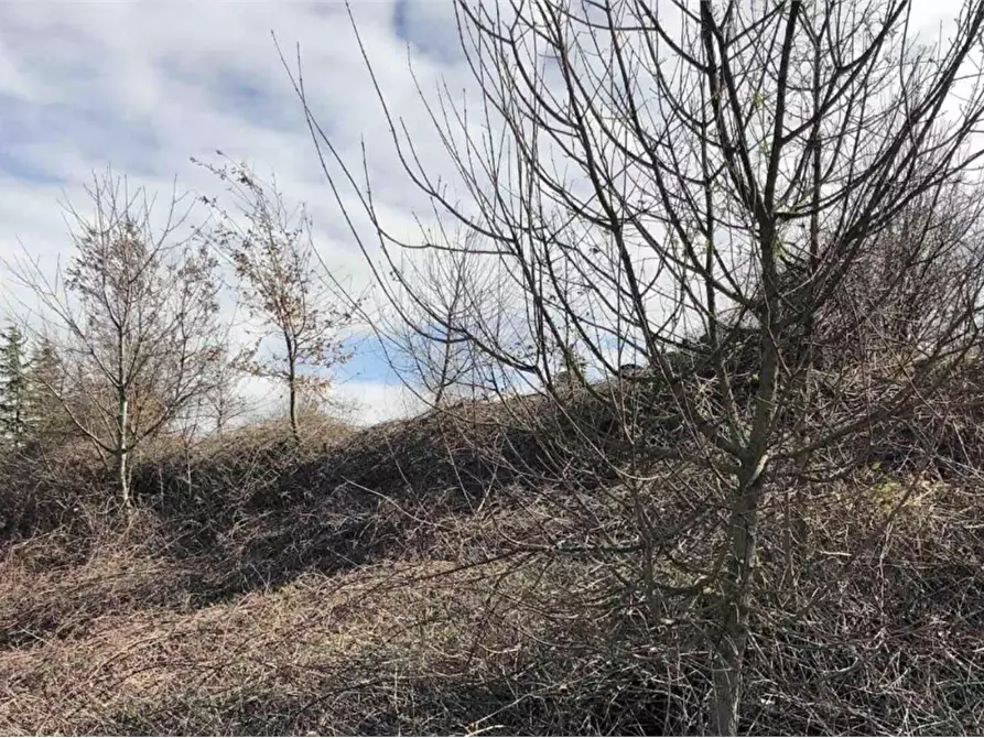 Immagine 4 di Terreno edificabile in vendita  in Località Boffalora a Gazzola