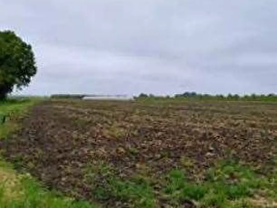 Immagine 1 di Terreno agricolo in vendita  in via Alberello a Argenta