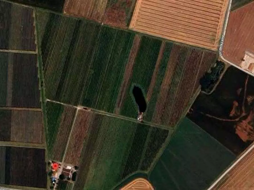 Immagine 3 di Terreno agricolo in vendita  in via Alberello a Argenta