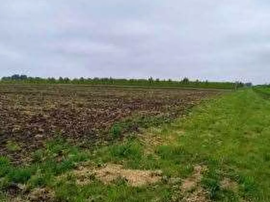 Immagine 9 di Terreno agricolo in vendita  in via Alberello a Argenta