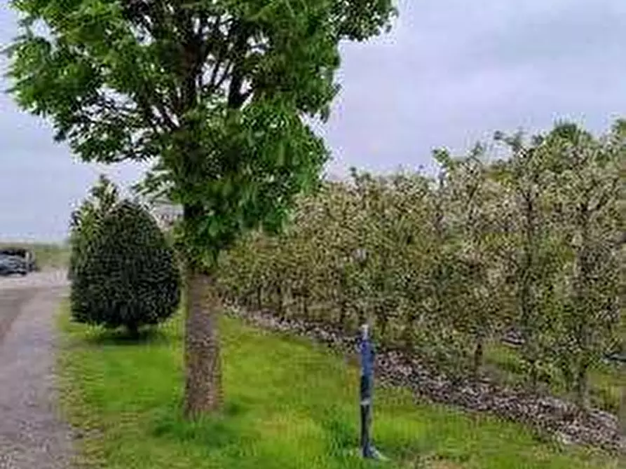 Immagine 11 di Terreno agricolo in vendita  in via Alberello a Argenta
