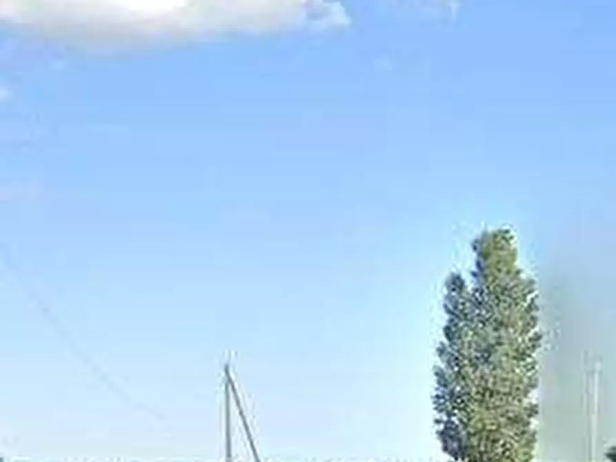 Immagine 13 di Terreno agricolo in vendita  in via Alberello a Argenta