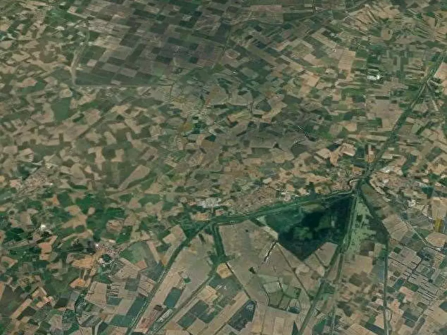 Immagine 15 di Terreno agricolo in vendita  in via Alberello a Argenta