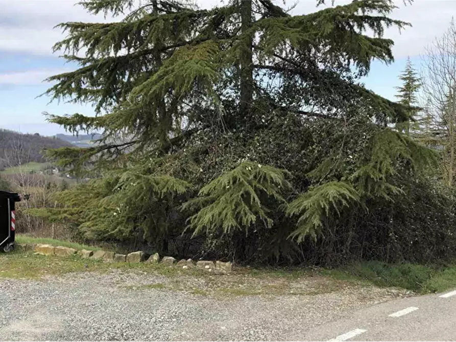 Immagine 5 di Terreno edificabile in vendita  in Località Boffalora  a Gazzola